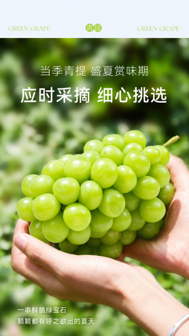 参考图1整体风格和构图不变，将双手捧着的葡萄替换为图2中的阳光玫瑰葡萄，保留图1的所有文字文案和背景环境，保持整体自然融合预览效果