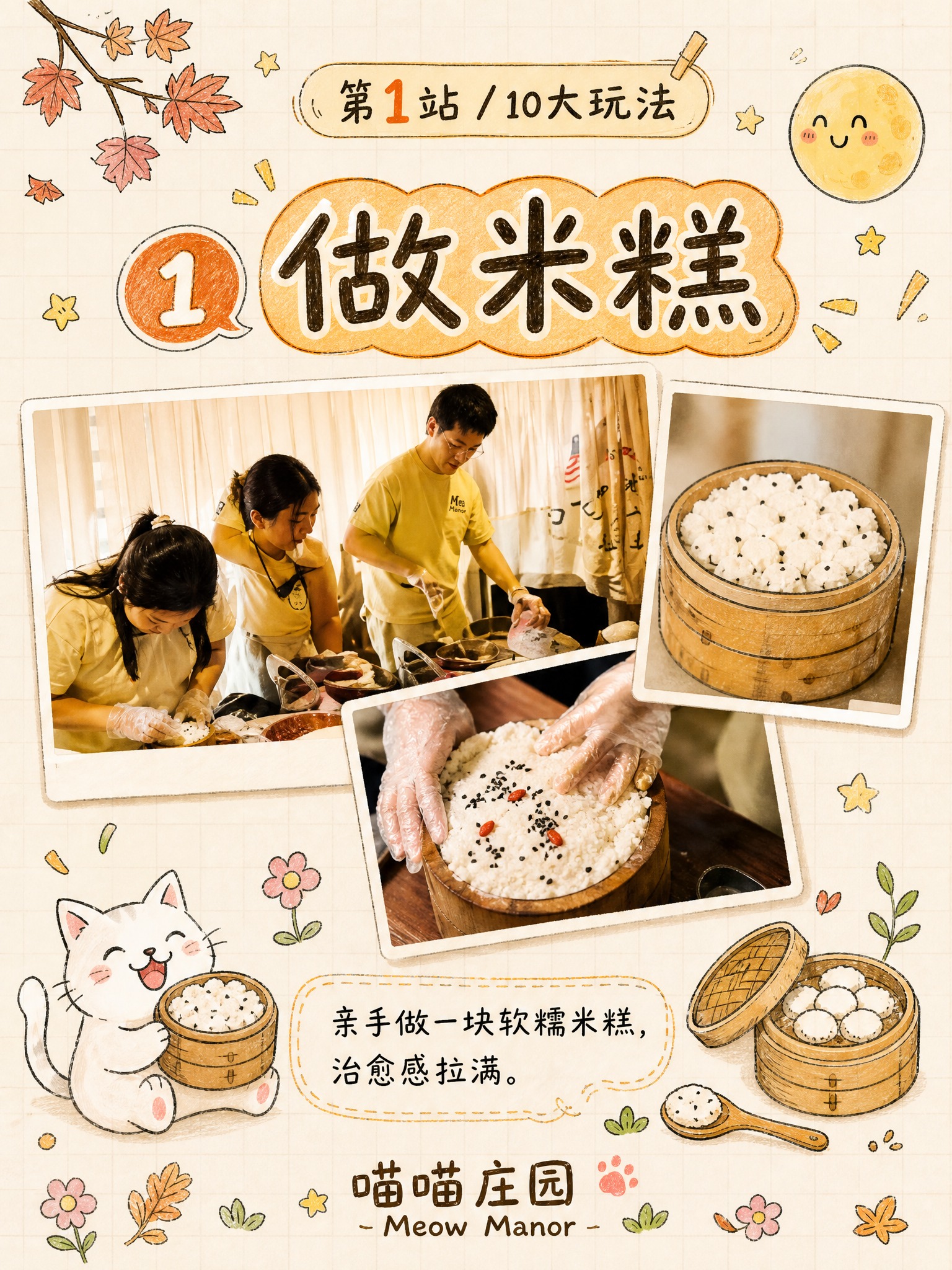 小红书内页图，手账手绘线稿+彩铅风格，米白色网格纸背景，延续喵… - 图片创意预览