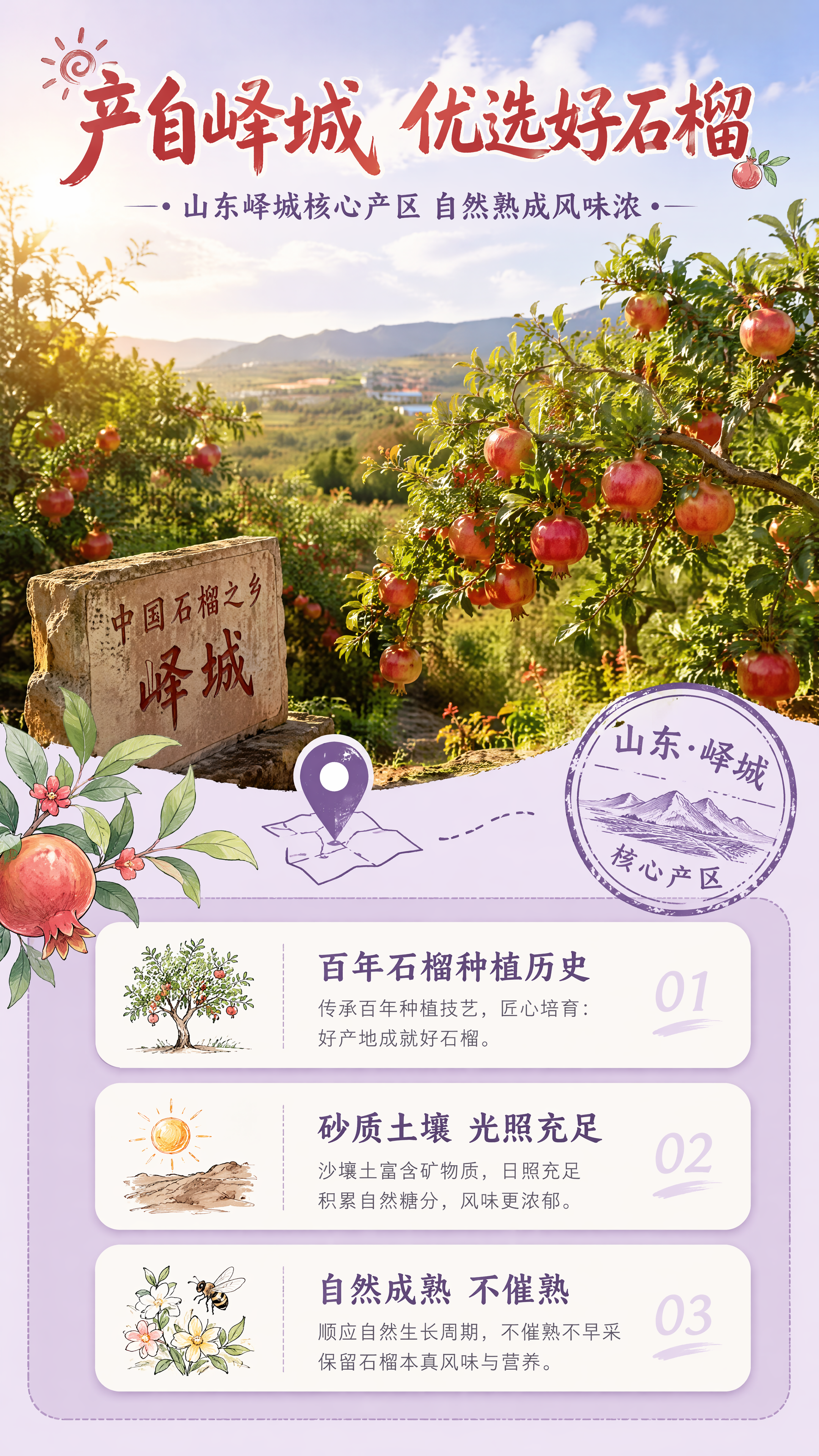 [第2张] 产地叙事页-山东峄城石榴产地优势展示。本张为产地专… - 图片创意预览