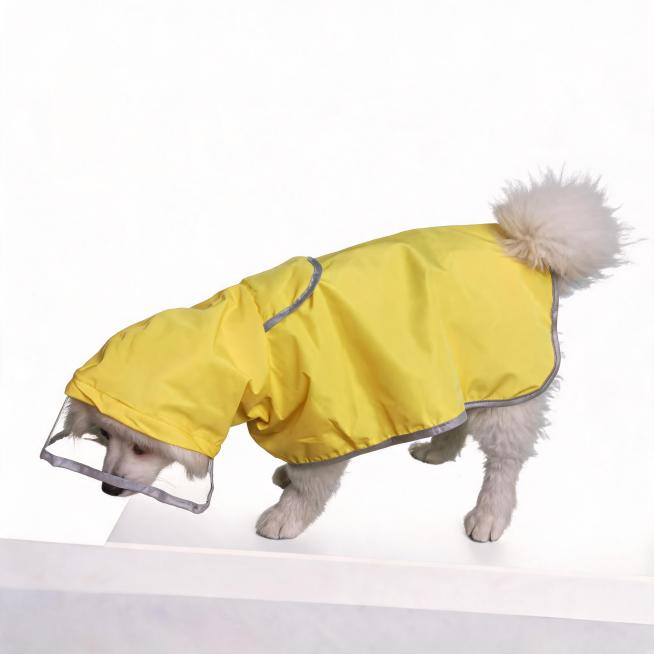 将图片的背景改为纯白色白底背景，保留狗狗和雨衣不变预览效果