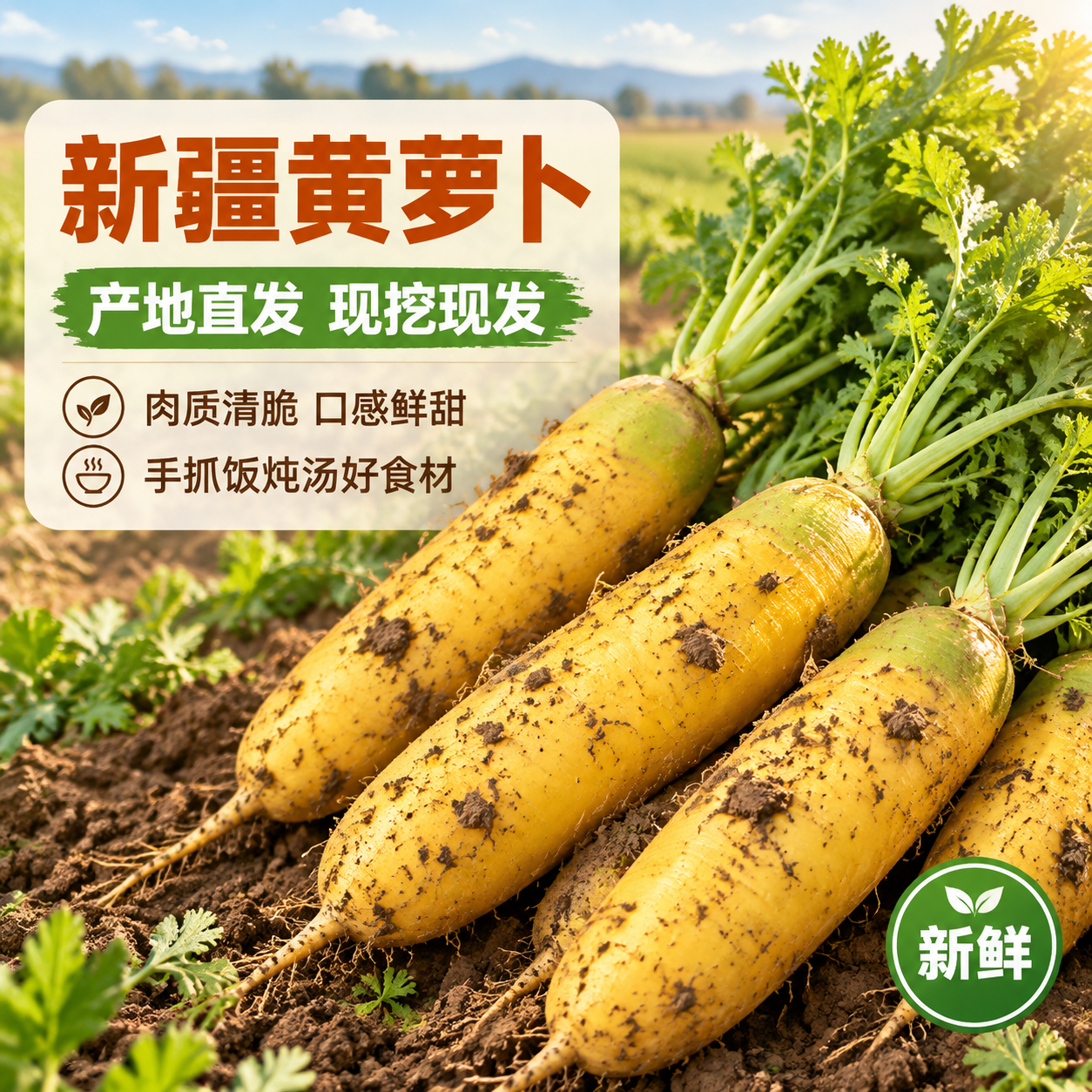 [主图-1] 首图点击率，主题：新疆黄萝卜 产地直发 新鲜现挖… - 图片创意预览