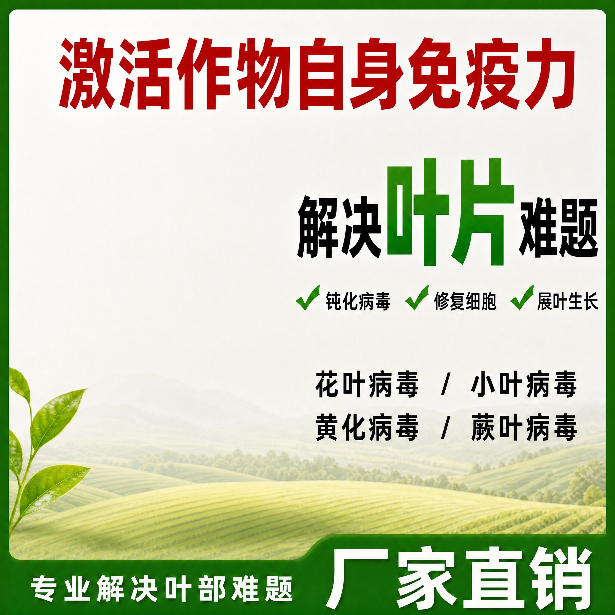 在原图基础上修改 拼多多主图 1:1正方形 农业风格 整体布局… - 图片创意预览