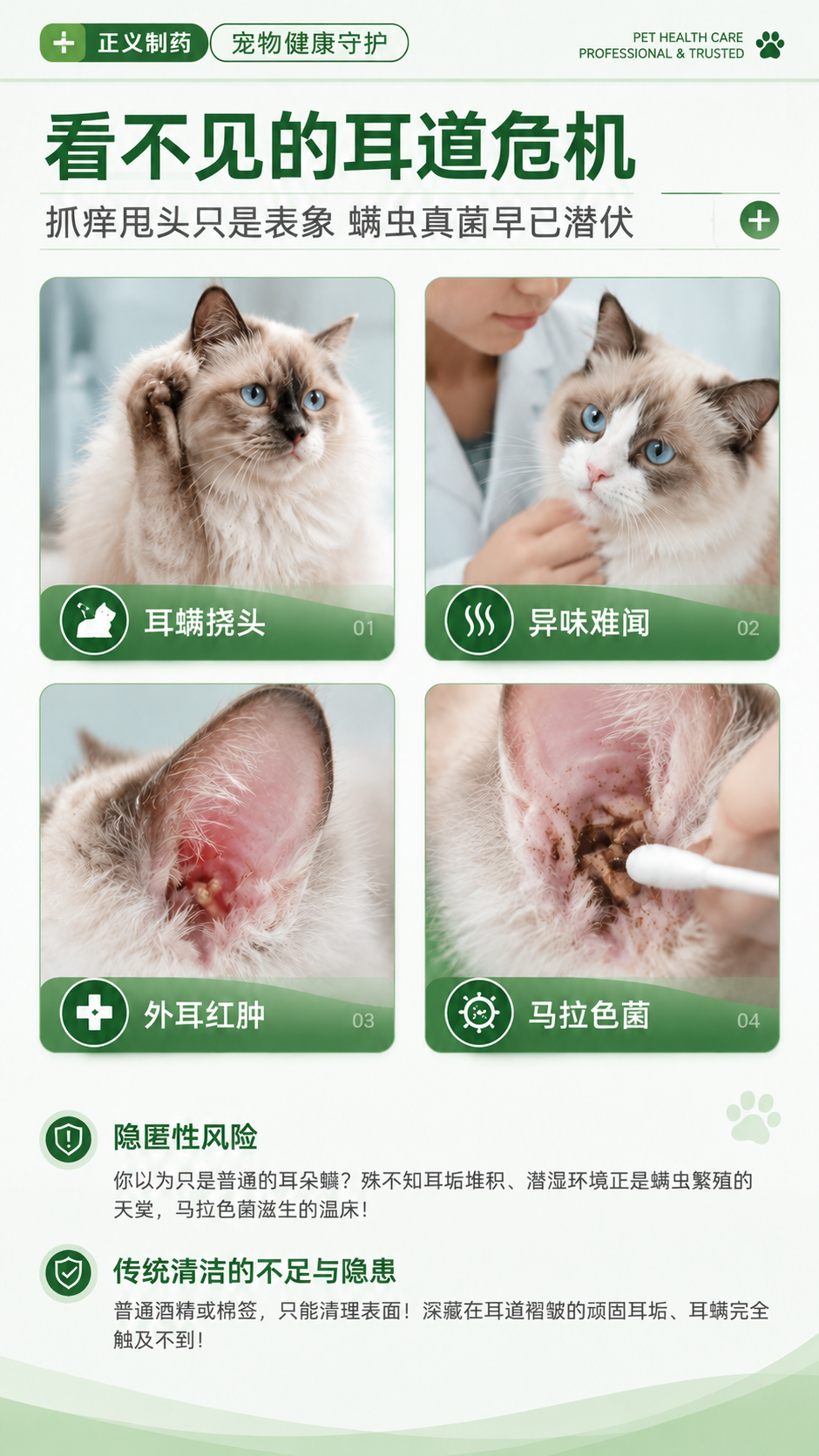 将这张宠物耳道健康科普图的整体色调改为清新草木绿+白色+浅灰的… - 图片创意预览