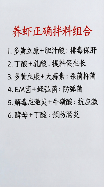预览效果