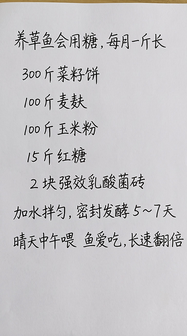 参照参考图的手写字体风格、黑色字迹颜色、竖版纸张排版布局，将图片中的文字内容全部替换为以下内容，一字不差，保持手写笔记的自然排版和行距，字迹清晰工整，纸张为白色背景：

养草鱼会用糖，每月一斤长
300 斤菜籽饼
 100 斤麦麸
100 斤玉米粉
15 斤红糖
 2 块强效乳酸菌砖
加水拌匀，密封发酵 5～7 天
晴天中午喂 鱼爱吃，长速翻倍