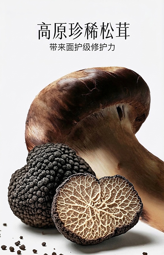 对松茸黑松露产品进行精修，更换为纯净的纯白背景，保留正视图平视视角，精准还原产品颜色，增强科技感与高级感，极致展现松茸和黑松露的自然材质质感，清除所有灰尘与瑕疵，让产品看起来崭新洁净，光线均匀，无明显杂乱阴影，保持产品所有文字和细节不变