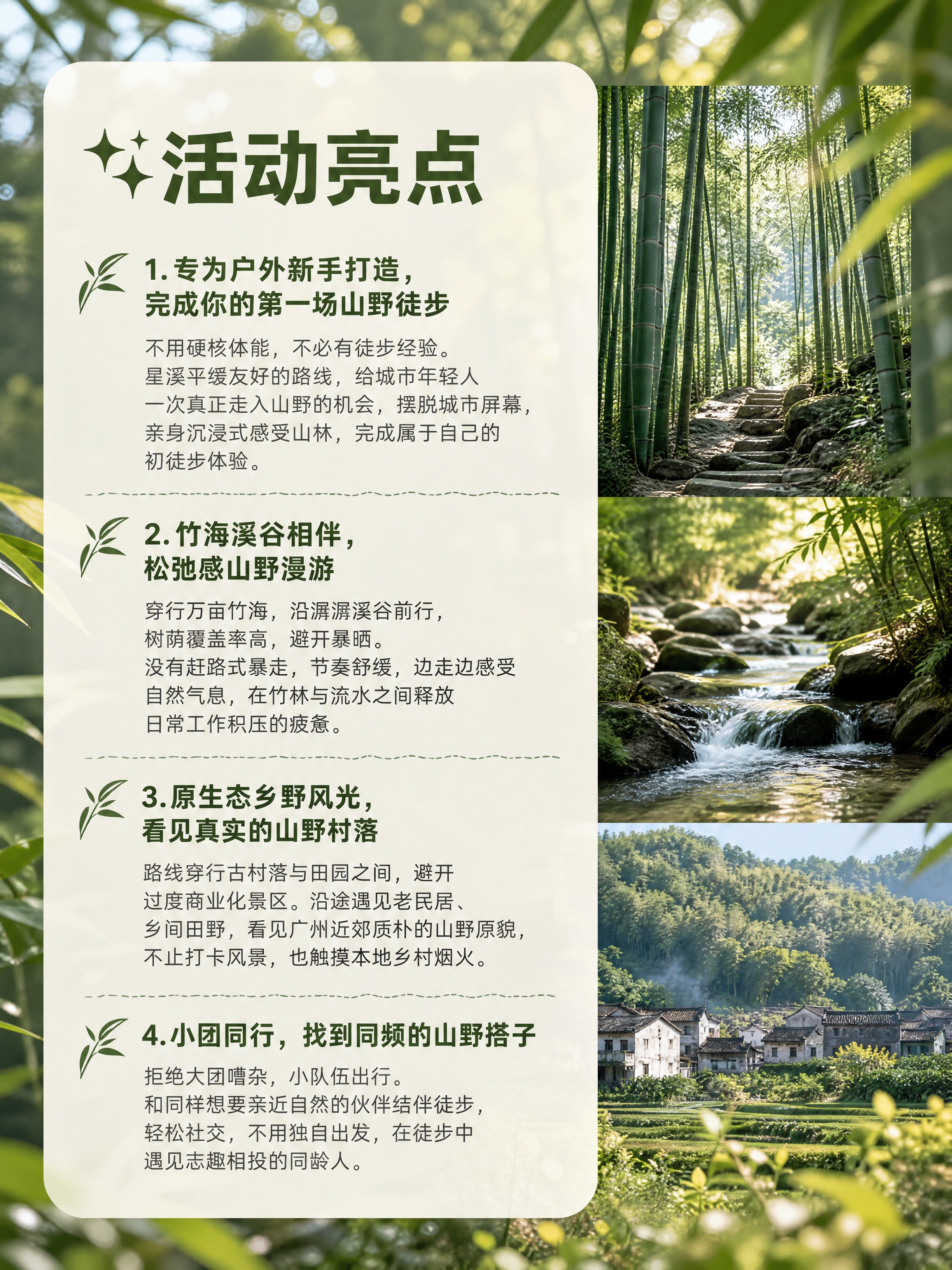 小红书笔记内页图文，配图大字，ins清新山野森系风，版式精美，… - 图片创意预览