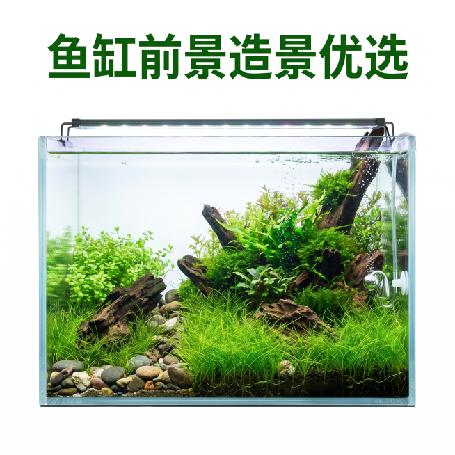 [主图 4] 迷你牛毛水草造景应用展示
[氛围风格] 清新自然水族造景场景
[画质] 商业摄影质感，真实自然，清晰通透，画面高级干净。
[元素] 将迷你牛毛无菌杯水草放置在长方形鱼缸前景位置，周围搭配预览效果