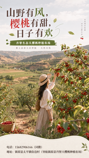 【底部】电话:15682906166(同微) 地址：镇原县太平镇俭边村(导航镇原县丹智大樱桃种植农场)预览效果
