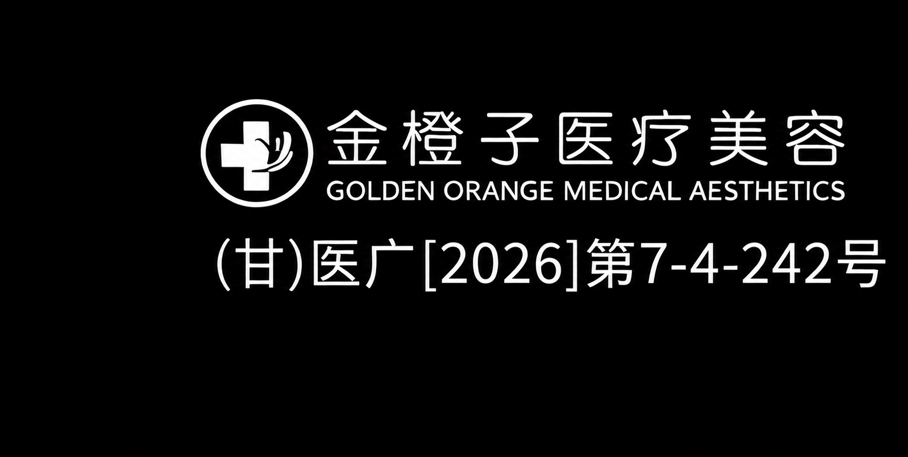 将图片背景变为纯黑色，所有文字和logo图标变为纯白色，保持原… - 图片创意预览