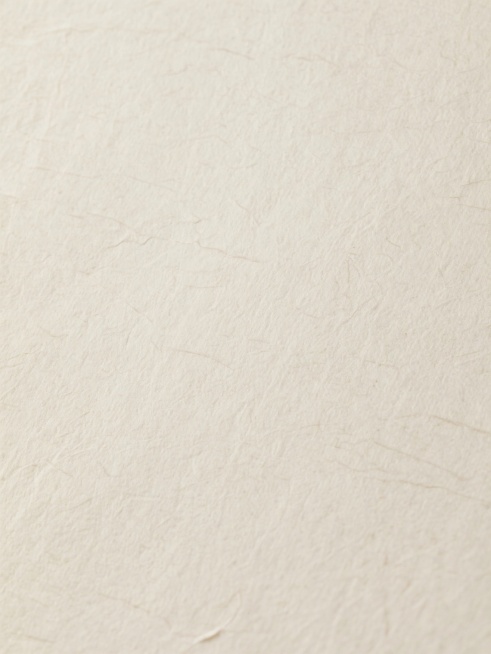 米白色仿古宣纸纹理背景底图，带有细腻的纤维质感，纹理自然，模拟真实宣纸的视觉与触觉效果，营造古朴且有质感的底衬，高清细节，柔和光线，淡雅色调预览效果