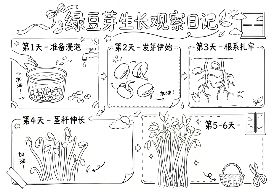 将这张绿豆芽生长观察日记手抄报转换为纯线稿图，去除所有颜色填充，仅保留清晰的黑色轮廓线条，保留所有文字、图案和分框结构完整，背景为纯白色预览效果