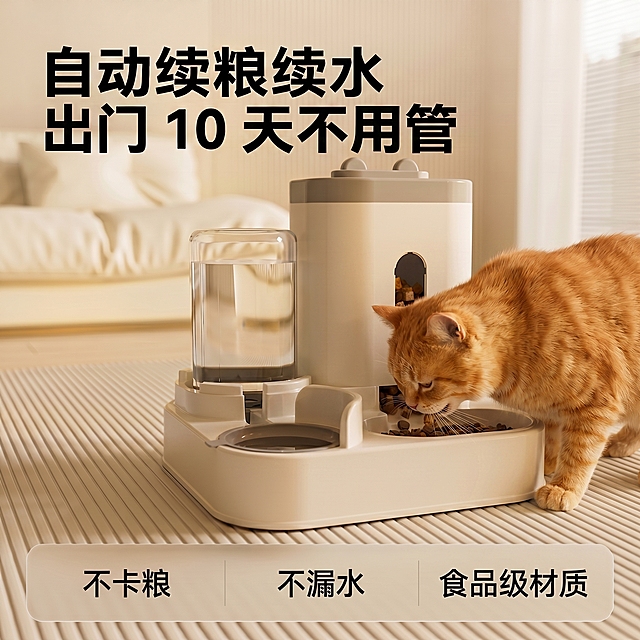 加个吃猫粮的橘猫
