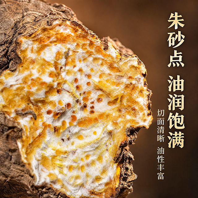 电商主图第二张，茅苍术切面朱砂点细节特写。画面主体为一块切开的茅苍术横截面大特写，切面布满橙红色朱砂点，油润有光泽，白色纤维与橙红油点交织，纹理清晰，质感真实。背景为柔和的暖棕褐色虚化背景，凸显切面细节与色彩。右侧负空间竖排文字，主标题大字写“朱砂点 油润饱满”，下方小字写“切面清晰 油性丰富”。保持茅苍术切面外观（材质质感、颜色、纹理结构）与输入参考图绝对一致，杜绝任何变形和色差。微距摄影质感，自然侧逆光打亮切面油点，通透有层次。商品主体占比约65%。1:1比例，文字清晰锐利，超高清商业摄影质感。负向提示：变形，文字错乱，模糊，水印，电商Logo，中药材种植野生晒干批发零售等字样
