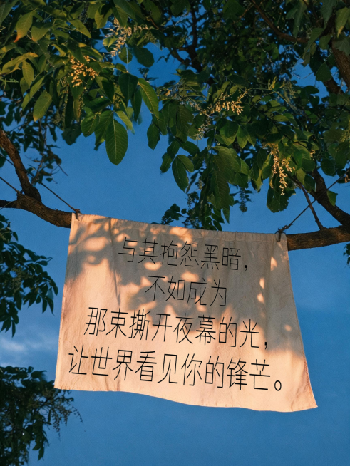激励正能量文案摘抄分享文艺感实景风小红书封面预览效果