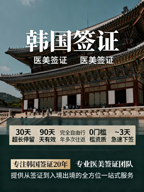 再帮我生成10张，第一排请保持只有“韩国签证”预览效果