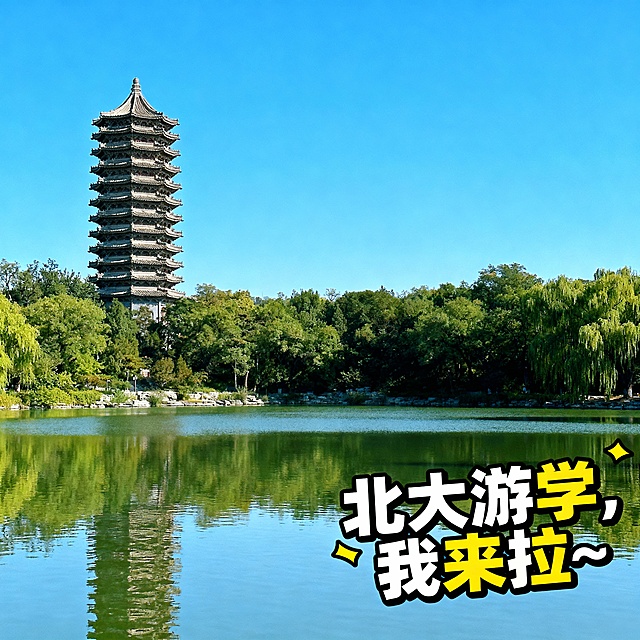 生成一张北大游学的图片,画面中呈现了北京大学未名湖与博雅塔的标志性背景，角落处文字(生动活泼)"北大游学,我来拉~"