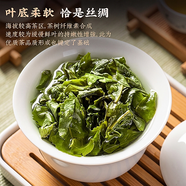 围绕铁观音茶叶，生成一张茶叶叶底的商品主图，保留原文字“叶底柔软 恰是丝绸 海拔较高茶区,茶树纤维素合成速度较为缓慢鲜叶的持嫩性增强,此为优质茶品质形成也键定了基础”，整体构图光影和原图类似，高清质感
