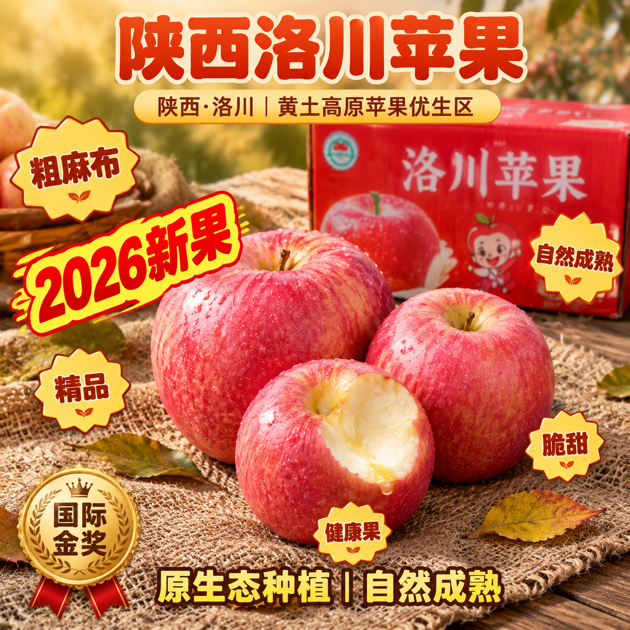 [主图-5] 粗麻布桌面场景，展示陕西洛川苹果的原生态种植与自… - 图片创意预览