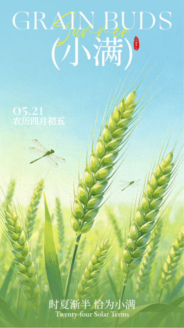 小满节气祝福绿色清新插画风竖版海报预览效果
