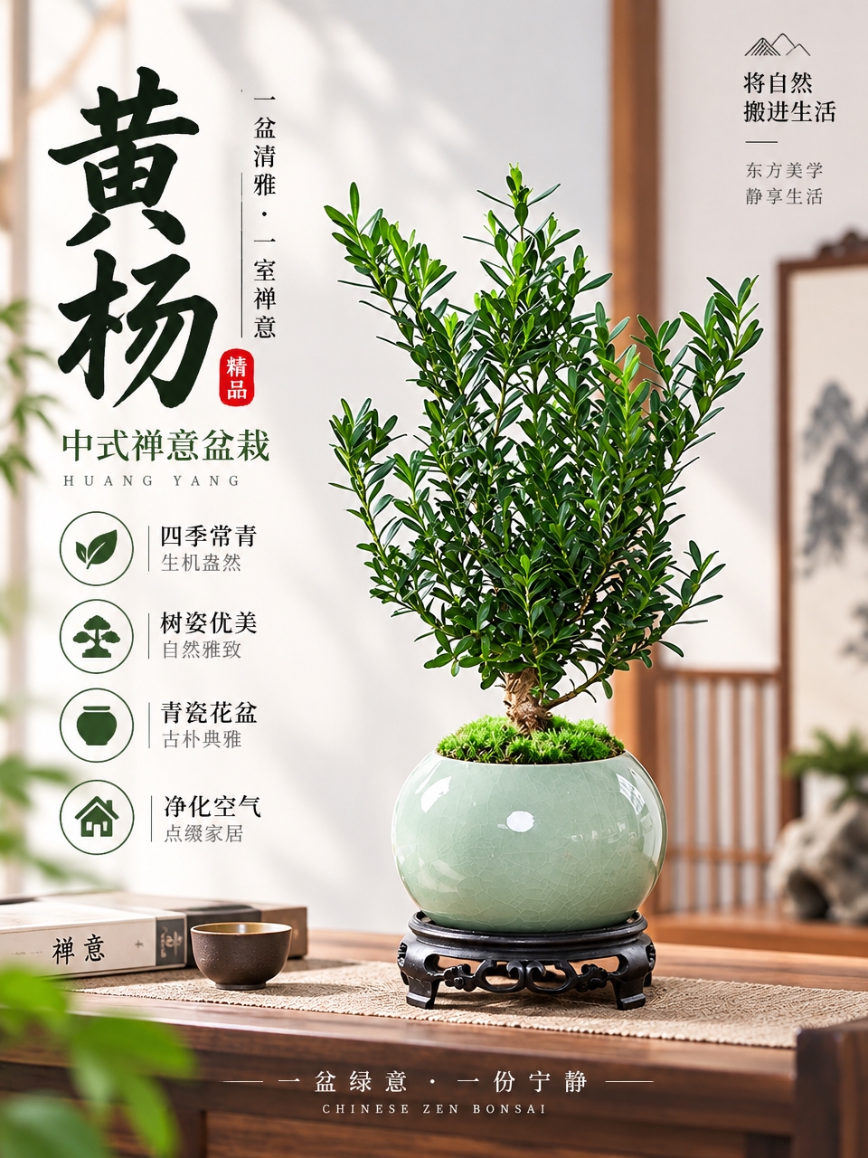 生成一张淘宝天猫电商主图，3:4竖版比例，以图中的黄杨盆栽为主… - 图片创意预览