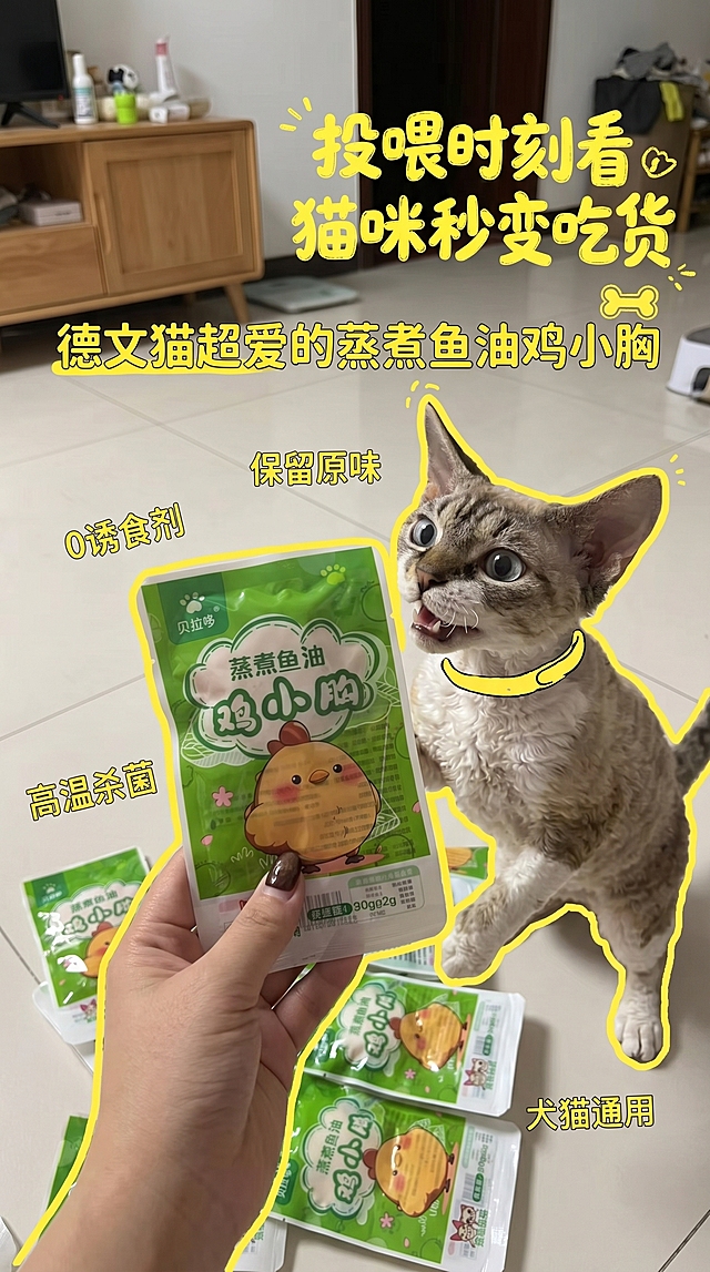「图片1」                              属于产品图片，参考              「图片1」                              这种图片，编写产品卖点，制作一张适合小红书的封面图片，还要和德文猫作为合影。尺寸：9：16