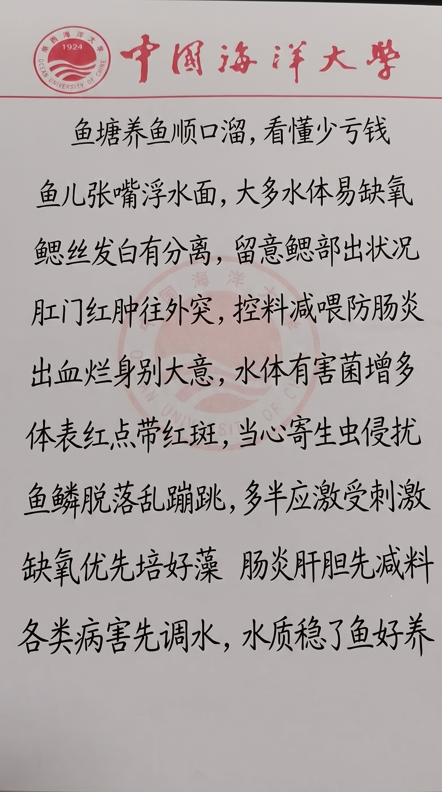 参照图片中的手写字体风格、黑色字迹颜色、白色纸张背景和竖排行文… - 图片创意预览
