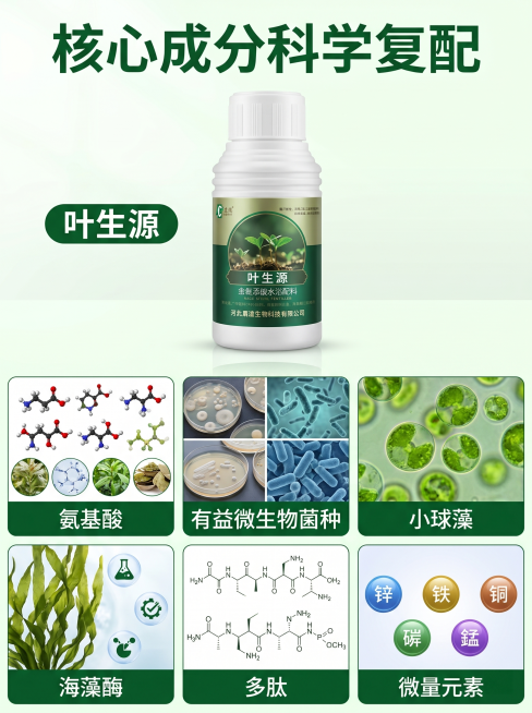 [主图 2] 核心成分卖点展示。[氛围风格] 专业技术风，清晰可信。[画质] 商业摄影质感、光线柔和通透、产品清晰真实、画面干净高级。[元素] 上部主体大图展示叶生源产品瓶体，保持产品外观与输入产品图预览效果