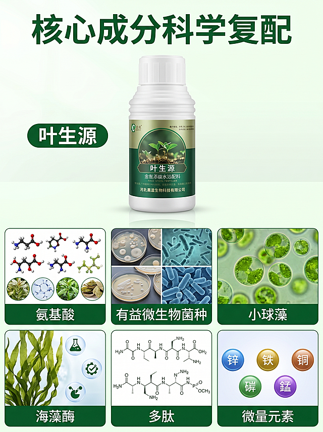 [主图 2] 核心成分卖点展示。[氛围风格] 专业技术风，清晰可信。[画质] 商业摄影质感、光线柔和通透、产品清晰真实、画面干净高级。[元素] 上部主体大图展示叶生源产品瓶体，保持产品外观与输入产品图绝对一致，杜绝变形色差，精细化处理。下部六宫格分别展示氨基酸、有益微生物菌种、小球藻、海藻酶、多肽、微量元素六种核心成分，每个宫格内展示对应成分素材，下方标注成分名称。整体满版构图，信息层级清晰，画面无边框。[光影] 均匀柔和布光，产品主体与成分展示区光线明亮，细节清晰，无强烈阴影。[配色] 主色调深绿+浅绿，自然专业，成分宫格用浅白底清晰区分。[视角构图] 上下结构平视构图，产品主体突出，成分展示清晰。[文字版式] 产品左侧标注产品名"叶生源"，顶部大标题"核心成分科学复配"，绿色大字粗体，每个成分宫格下方标注对应成分名称，字体大小适中，清晰易读。[比例分辨率] 3:4 比例，2k 分辨率；文字清晰锐利，画面超高清。[负向提示词] 变形，水印，文字错乱，产品图模糊，背景杂乱，文字遮挡主体