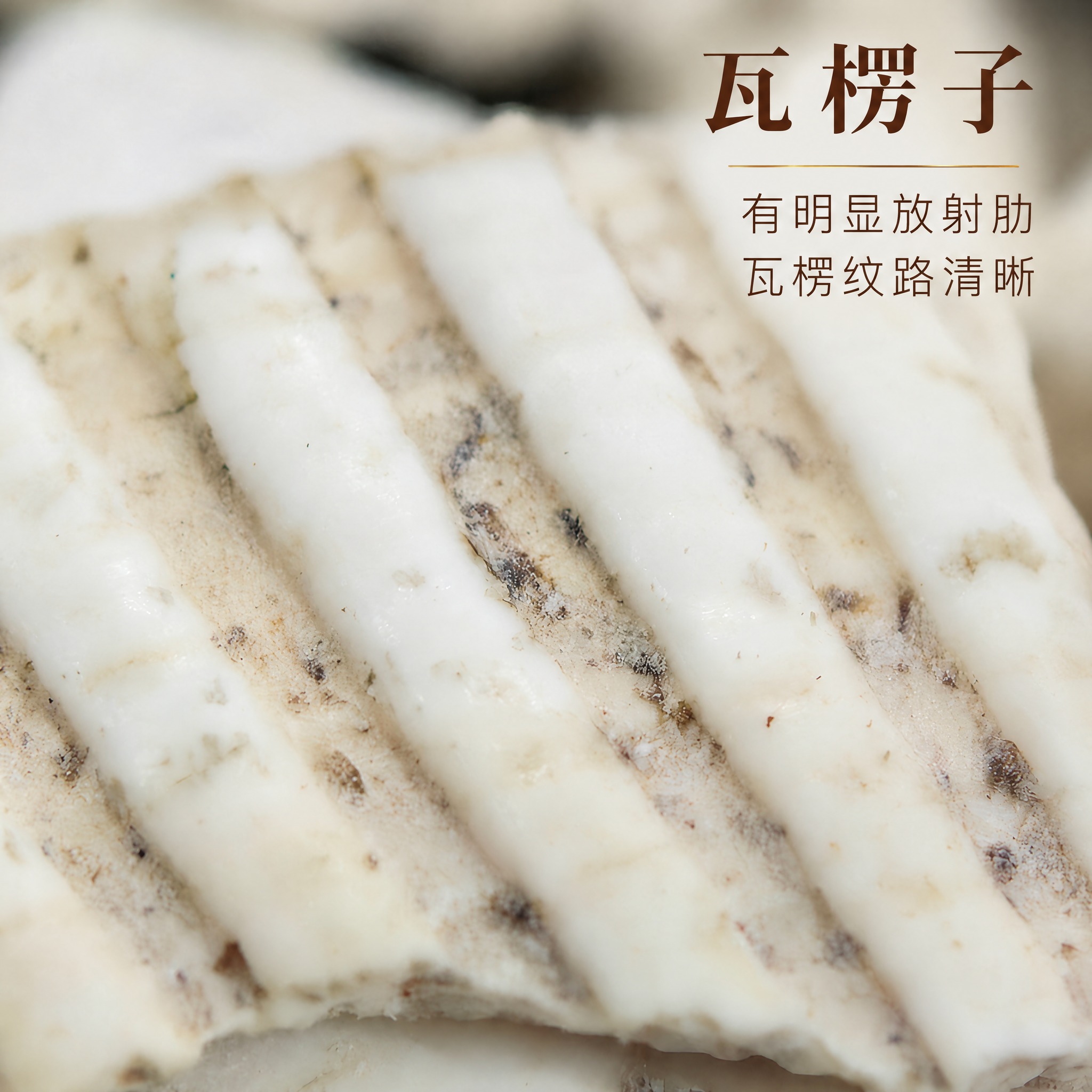 基于上传的瓦楞子素材进行主图创作，严格使用上传素材，完整保留原… - 图片创意预览