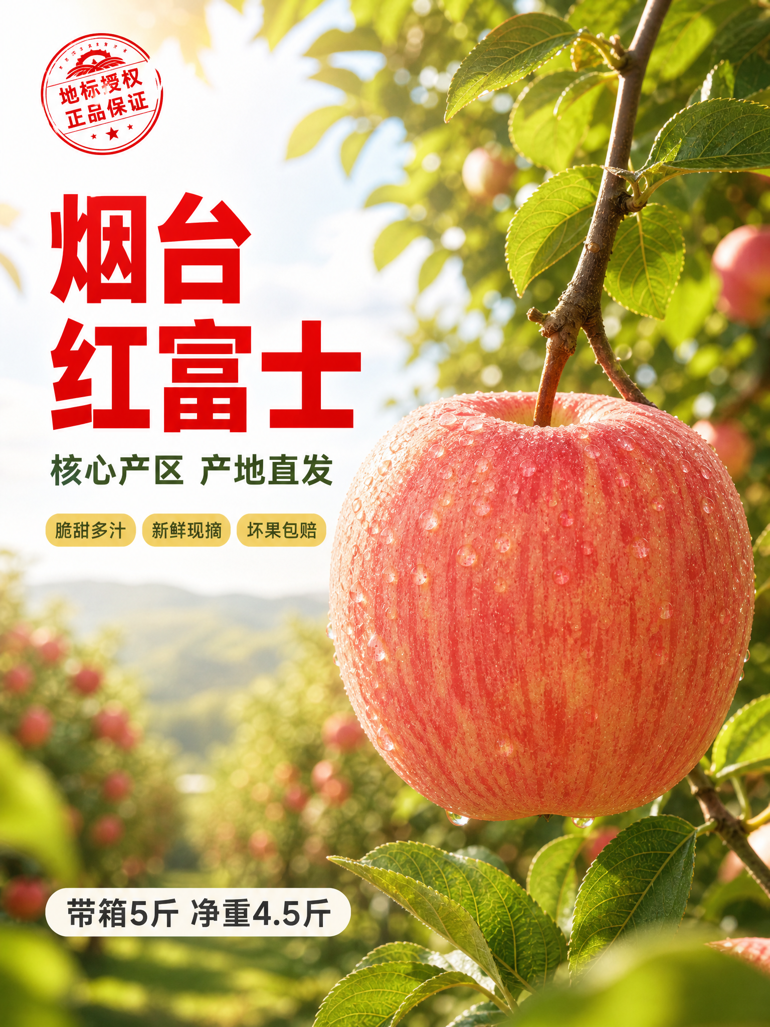 [头图重制] 烟台红富士苹果详情页头图主视觉。本张使用【图2】… - 图片创意预览