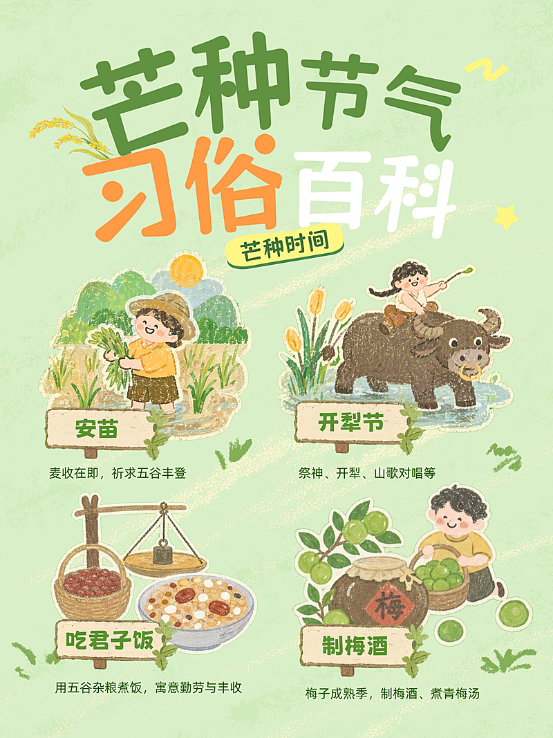 芒种习俗节气科普百科涂鸦插画感小红书配图