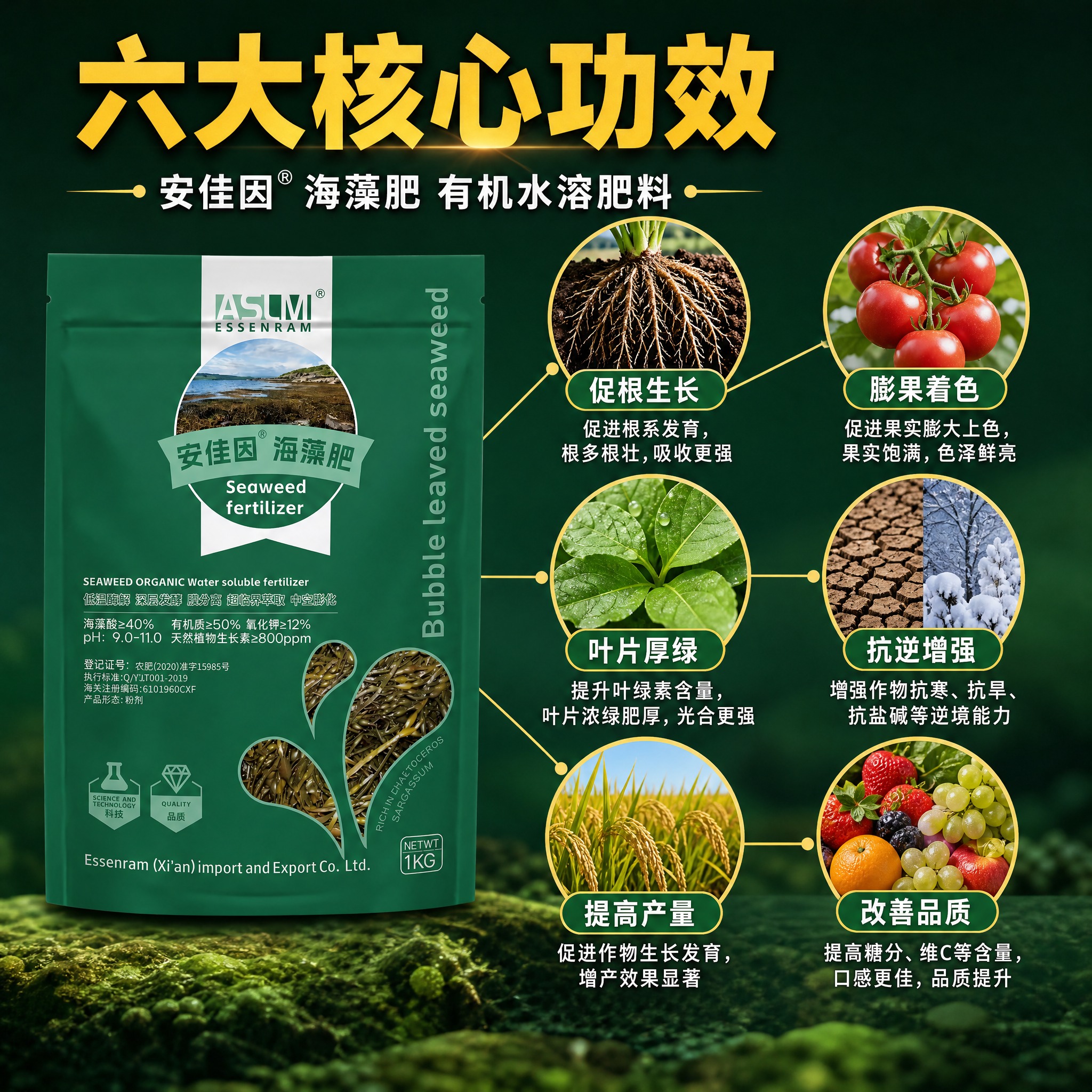 [主图-2] 安佳因海藻肥 有机水溶肥料 核心功效证明 六大核… - 图片创意预览