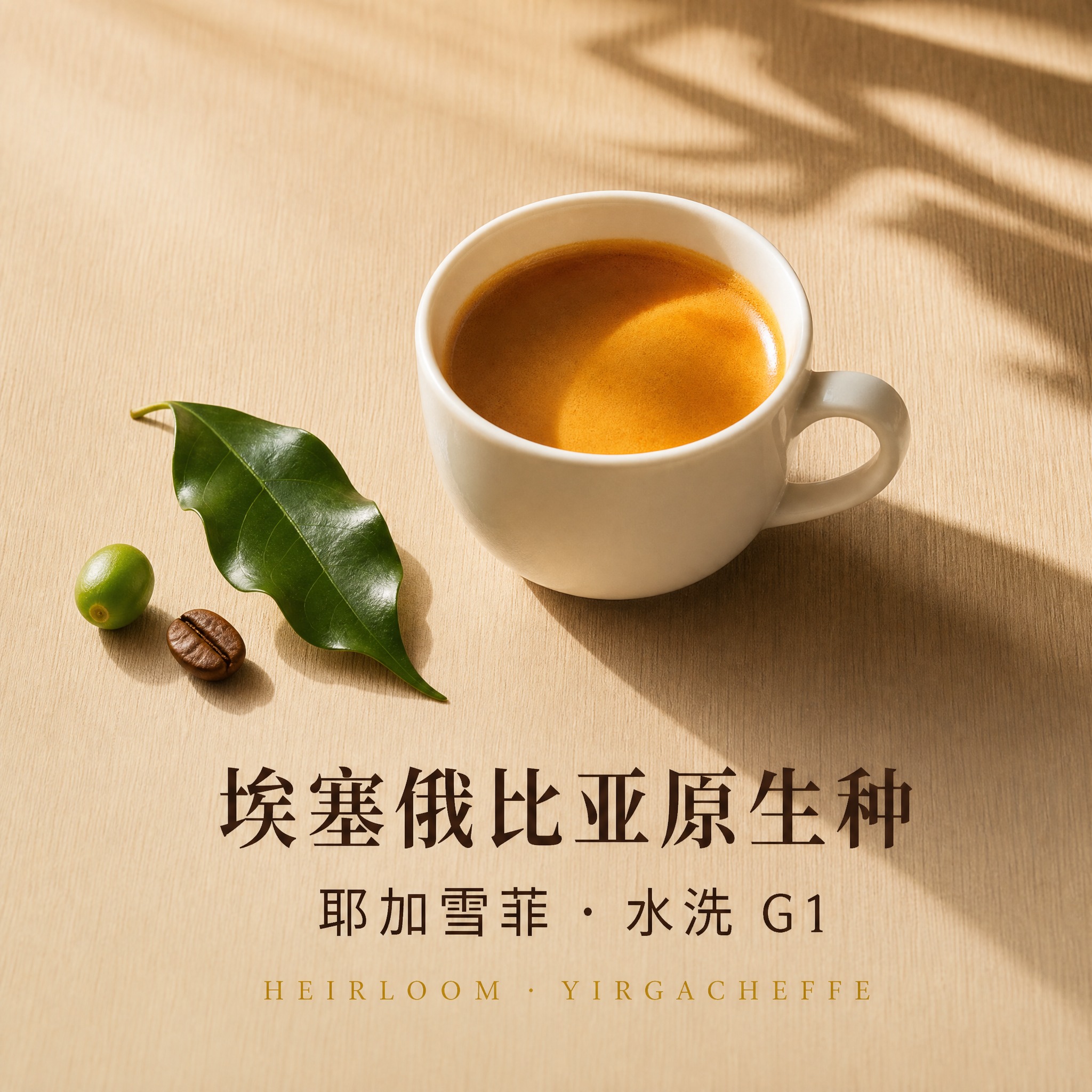 800×800 淘宝天猫电商主图，高端精品咖啡生活方式静物摄影… - 图片创意预览