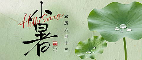 小暑节气祝福清新感通用微信公众号首图