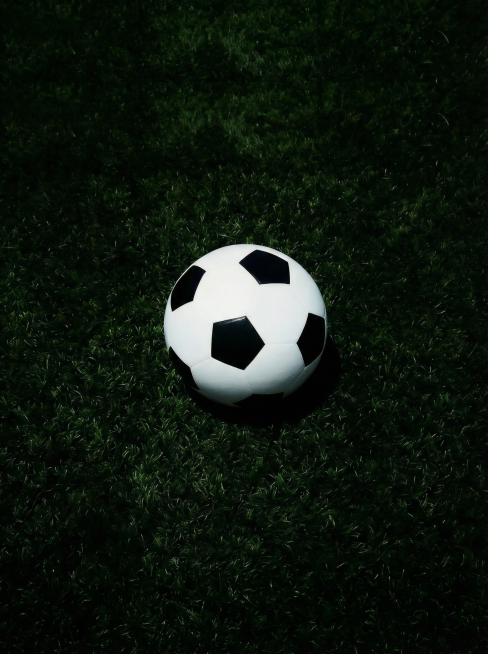 原图不变草地扩展预览效果