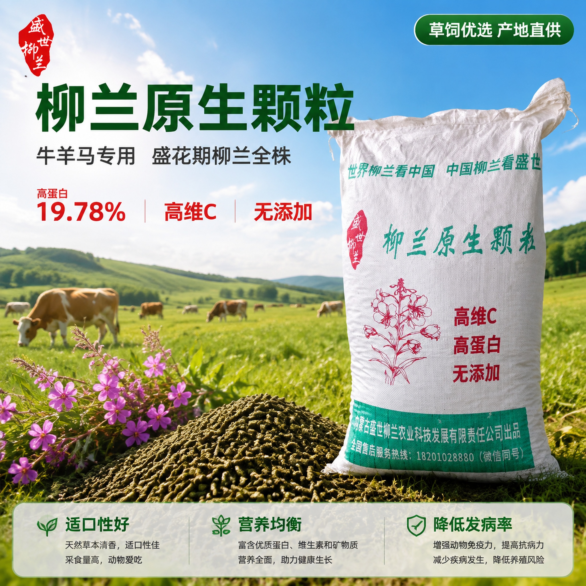[主图-1] 柳兰原生颗粒首图 牛羊马饲草饲料 大袋包装与颗粒… - 图片创意预览