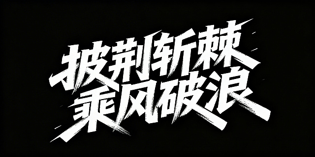 披荆斩棘 乘风破浪，以上生成时尚字体设计，动感，笔画粗一些，黑白稿，有设计感高，高级感