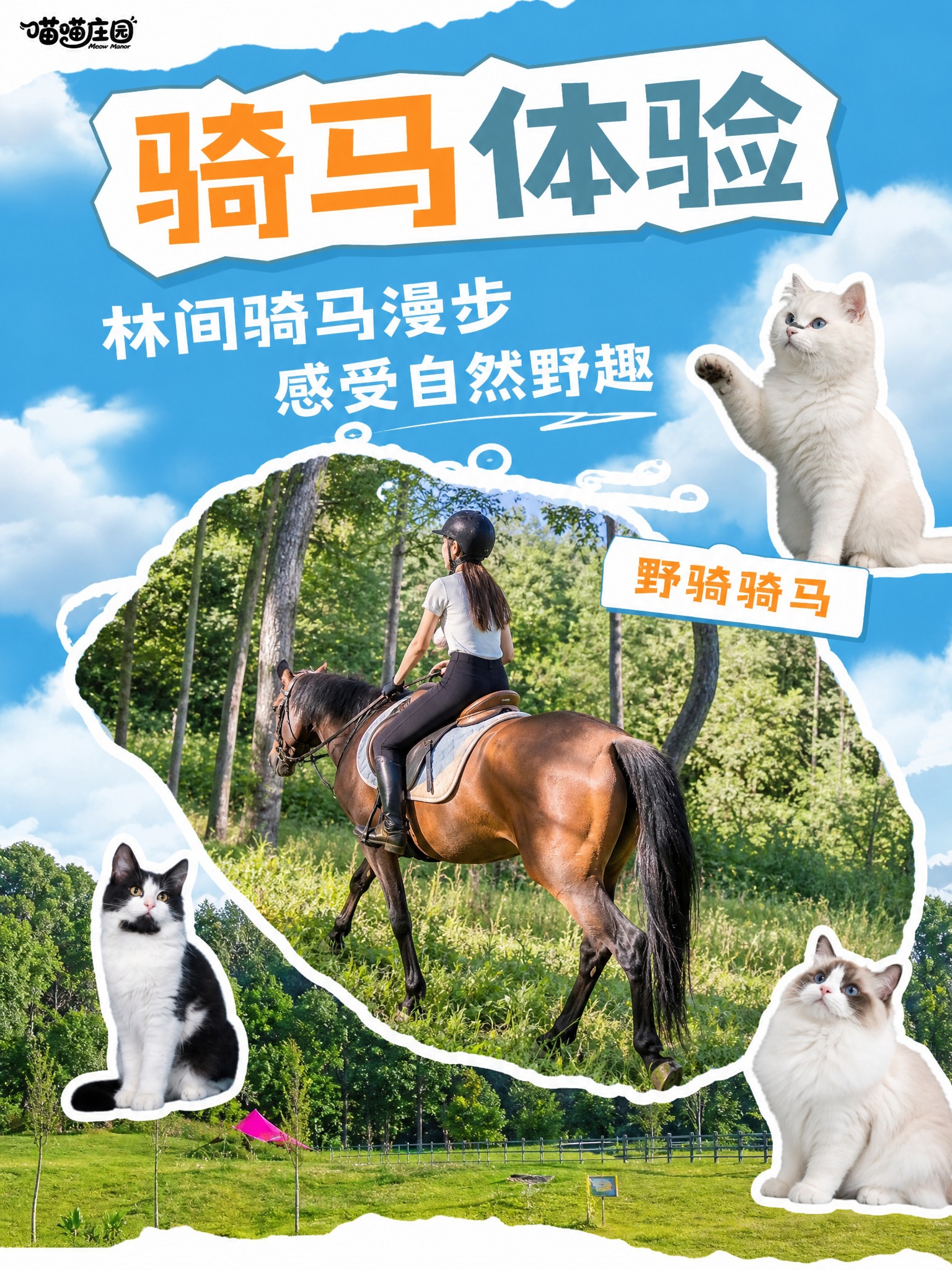 小红书内页图，完全按照用户上传参考图的风格：蓝天白云撕纸撕边、… - 图片创意预览