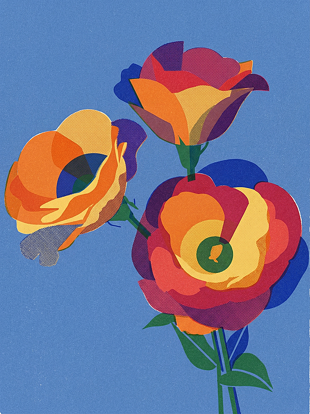 将图中的花转为现代极简几何扁平风格，融合包豪斯理性线条与risograph印刷质感，图形高度概括，蓝色背景，有丝网印刷颗粒质感、不完美边缘效果，使用蓝色、绿色、橙色、红色、黄色有限专色油墨，带有明显网点颗粒感、叠印第三色效果与手工印刷不完美质感