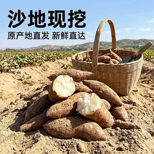 [主图7] 哈密冰糖沙地源产地展示，强化信任感。[氛围风格] 原生态自然农场风，新鲜采摘氛围；[画质] 真实摄影质感，自然日光清晰明亮。[元素] 沙土地田里，刚从地里挖出的带泥哈密冰糖薯，堆放在田埂上，旁边放着竹筐，保持冰糖薯外观和原图一致，背景远处是农田和蓝天。商品主体占比70%，画面满屏无边框。[光影] 自然正午日光，通透真实，突出沙土新鲜。[配色] 土黄，天蓝，产品原色，自然清新。[文字版式] 左上角大字"沙地现挖"黑色加粗，下方小字"原产地直发 新鲜直达"。[比例分辨率] 1:1比例，2k分辨率，文字清晰可辨，超高清。[负向提示词] 变形，水印，文字错乱，产品模糊，背景杂乱