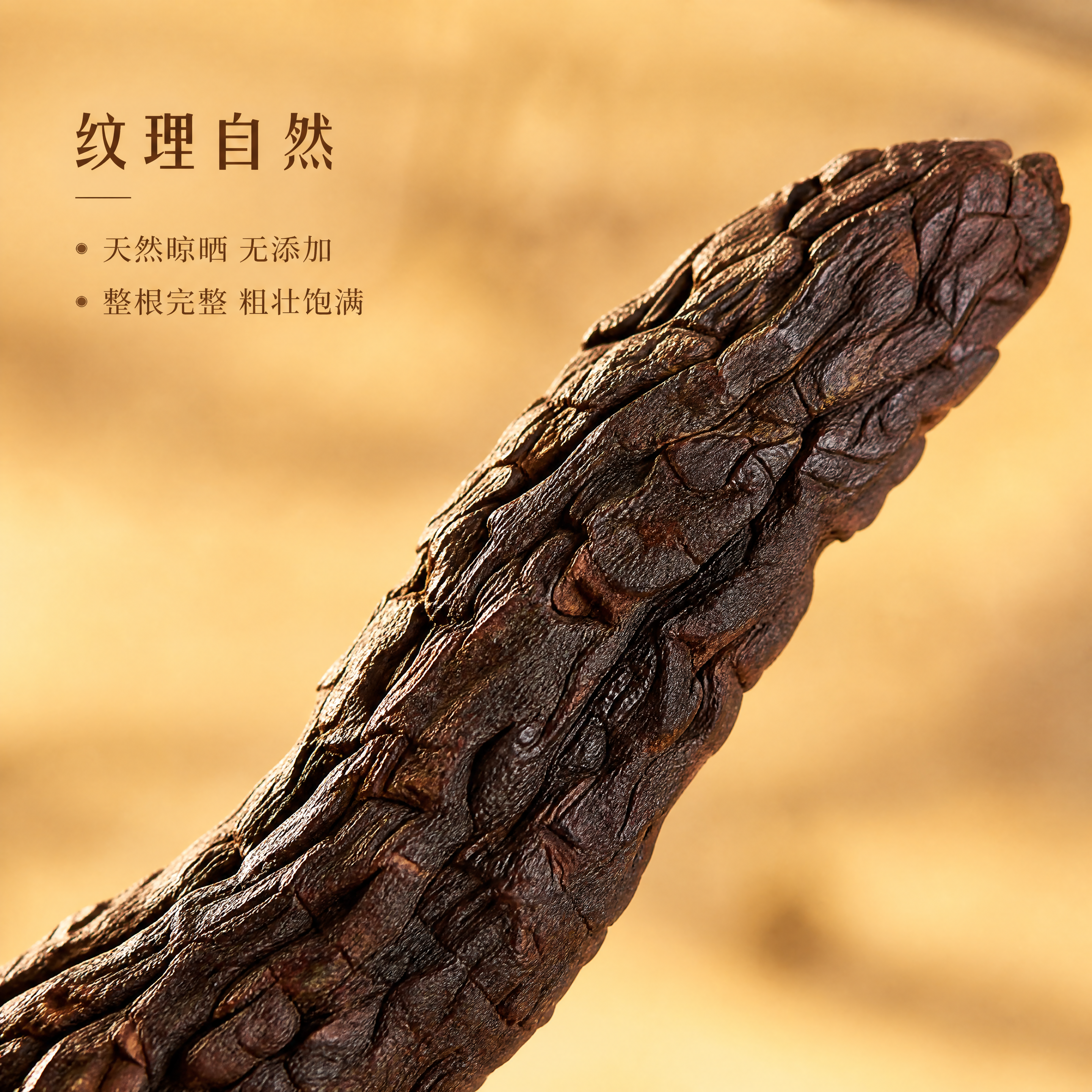 [主图-3] 肉苁蓉纹理细节微距特写图 [氛围风格] 天然原生… - 图片创意预览