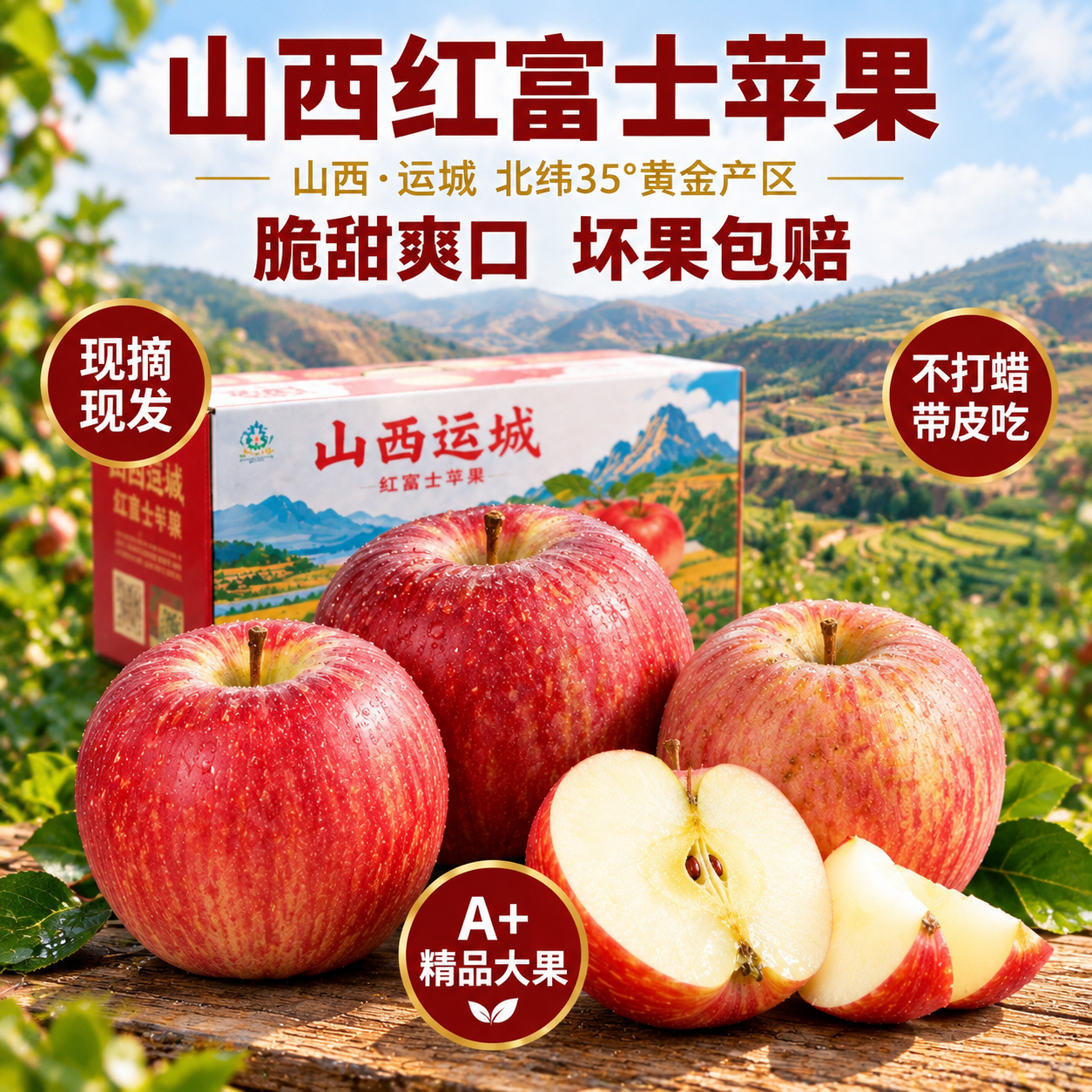 [主图-1] 山西运城红富士苹果首图，黄土高原广角产地氛围，突… - 图片创意预览