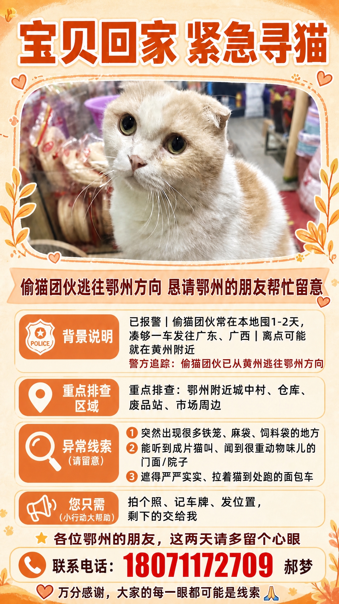 在原有寻猫启事海报基础上修改，更新信息：偷猫团伙已逃往鄂州方向… - 图片创意预览