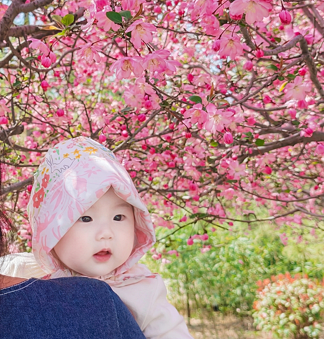 修掉娃娃下巴处遮挡脸部的白色衣服袖子，自然还原娃娃脸部和衣服，让娃娃脸部皮肤变得更加白嫩细腻，保持整体画面自然协调，保留原有粉色垂丝海棠花背景和整体风格