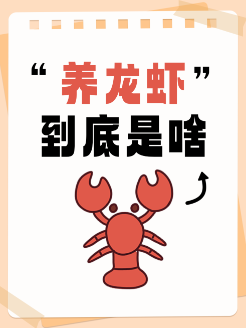 openclaw“养龙虾”热门热点话题小红书封面预览效果