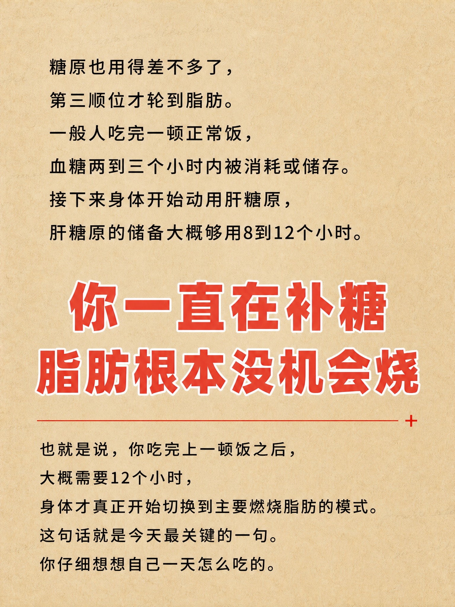 将这张图重新设计为新的小红书减脂科普内页（身体消耗顺序+关键数… - 图片创意预览