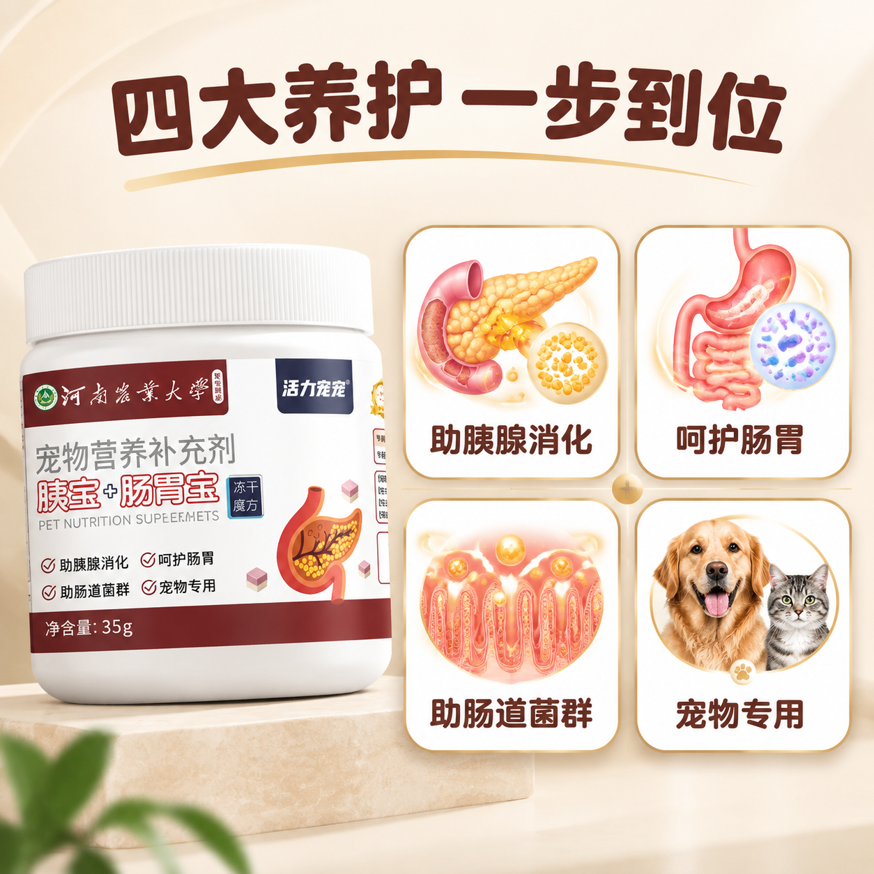 [主图-2] 核心卖点功能图，任务是讲清四大核心功效，用可视化… - 图片创意预览
