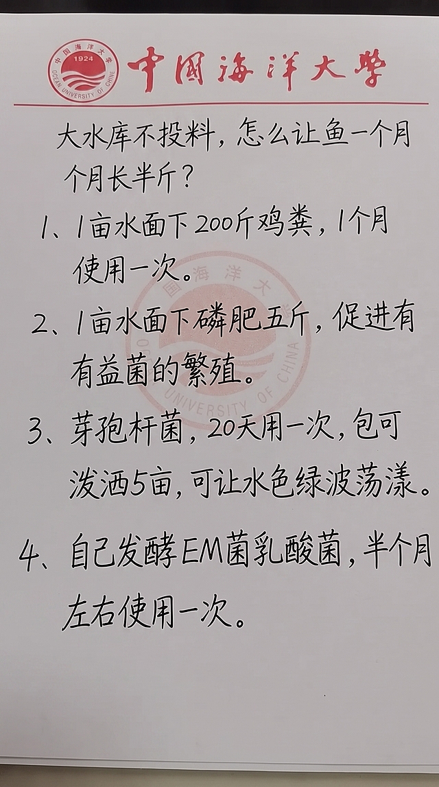 参照图片中的手写字体风格、黑色墨水颜色、白色纸张背景、竖版排版布局，将图片中的文字内容全部替换为以下内容，一字不差，保持手写笔记的自然质感，排版布局合理清晰：

大水库不投料，怎么让鱼一个月长半斤？
1、1亩水面下200斤鸡粪，1个月使用一次。
2、1亩水面下磷肥五斤，促进有益菌的繁殖。
3、芽孢杆菌，20天用一次，包可泼洒5亩，可让水色绿波荡漾。
4、自己发酵EM菌乳酸菌，半个月左右使用一次。
