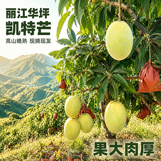 使用电商主图技能生成5张比例1:1的电商主图，适配平台为拼多多，商品为「图片1」「图片1」「图片1」「图片1」，商品卖点为丽江华坪高山晚熟，黄皮凯特芒，果大肉厚，孕妇水果，现摘现发，